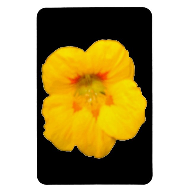 Imán Magnate premium Nasturtium amarillo brillante (Vertical)