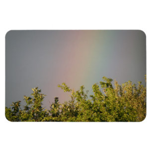 Imán Magnate premium Rainbow Sky