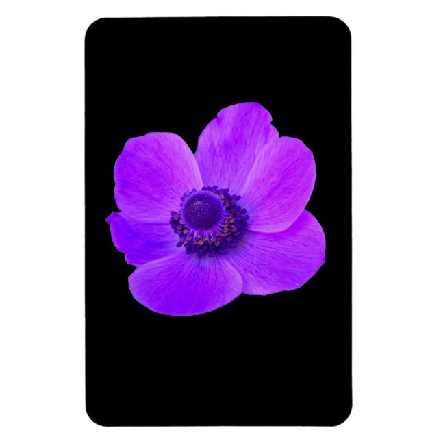 Imán Magnate Purple Anemone Premium (Vertical)