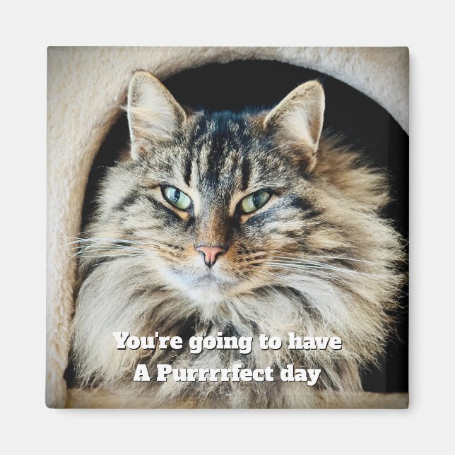 Imán Magnate Purrrfect Day (Frente)