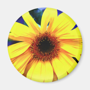 Imán Magnate redondeado al girasol