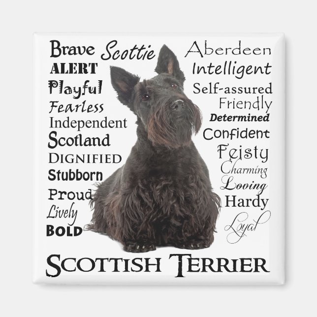 Imán Magnate Scottie Traits Magnet (Frente)