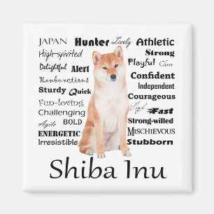 Imán Magnate Shiba Inu Traes