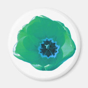 Imán Magnate tulipán verde y azul