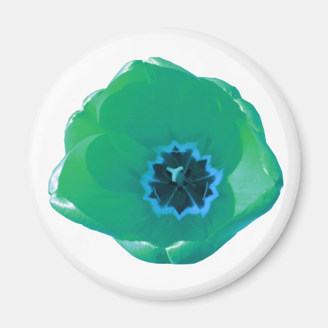 Imán Magnate tulipán verde y azul (Frente)