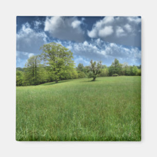 Imán Magnate verde appalache