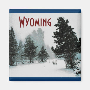 Imán Magnate Wyoming