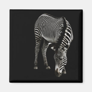 Imán Magnate Zebra P4435