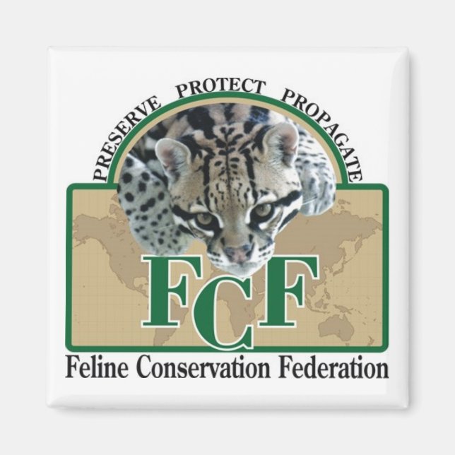 Imán Magnates (Frente)