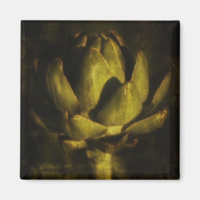 Imán Magnates (Frente)