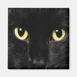 Imán Magnates de Cajón de CAT NEGRO, refrigerador