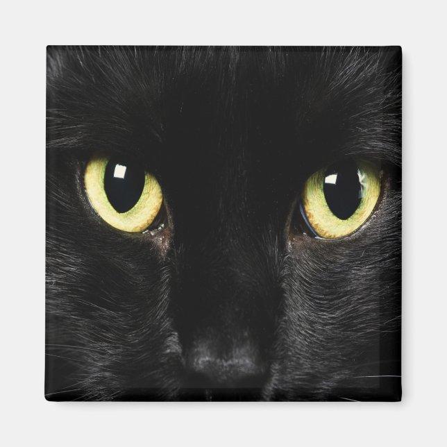 Imán Magnates de Cajón de CAT NEGRO, refrigerador (Frente)