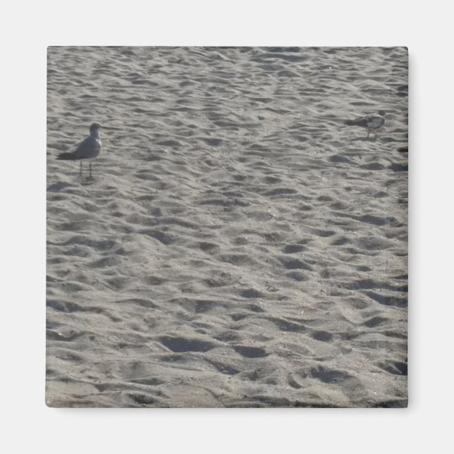 Imán Magnates de gaviota (Frente)