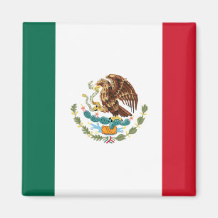 Imán Magnates de la bandera de México