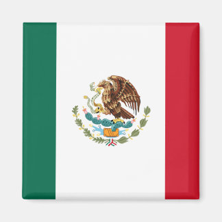 Imán Magnates de la bandera de México