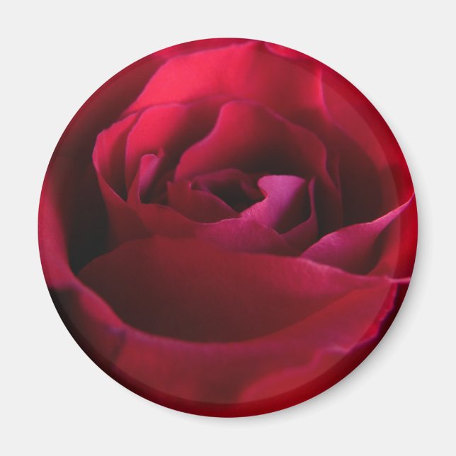 Imán Magnates de rosas rojas Regalos de rosas rosadas D (Frente)