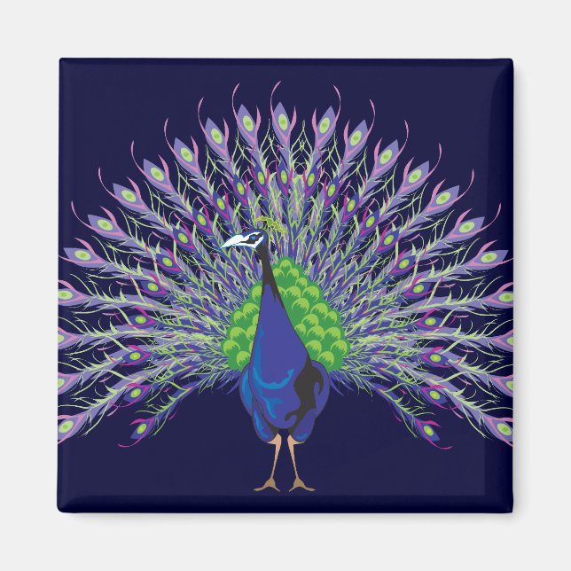 Imán Magnates Peacock (Frente)
