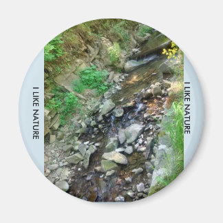 Imán Magnesio en la nevera