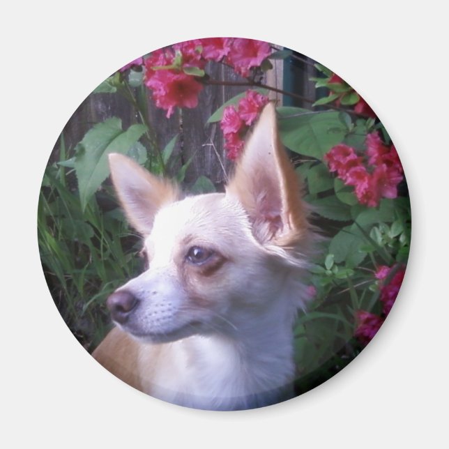 Imán Magnet "Add Your Own Photo" (Frente)