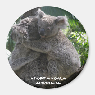 Imán Magnet Adopta A Koala Australia ZIZZAGO