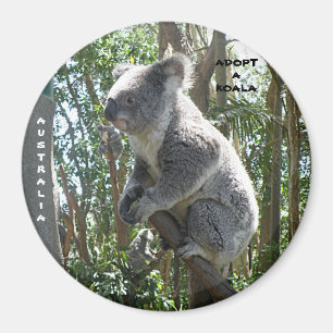 Imán Magnet Adopta A Koala Australia ZIZZAGO