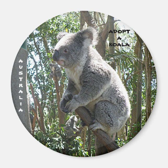 Imán Magnet Adopta A Koala Australia ZIZZAGO (Frente)