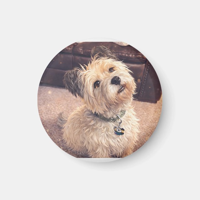 Imán Magnet Adorable Terrier Puppy (Frente)