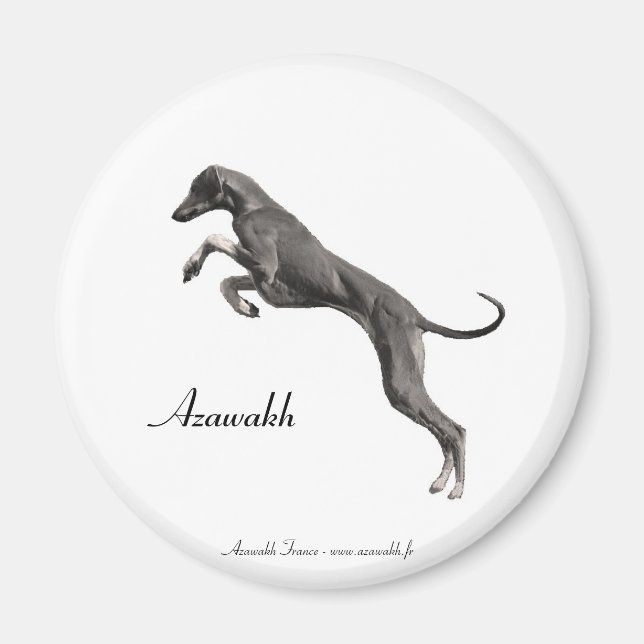 Imán MAGNET Azawakh 2 (Frente)