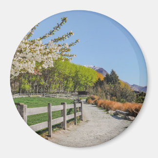 Imán Magnet - backdrop of Walter's peak