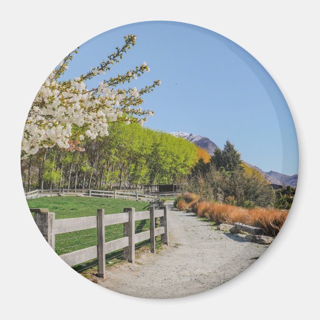 Imán Magnet - backdrop of Walter's peak (Frente)