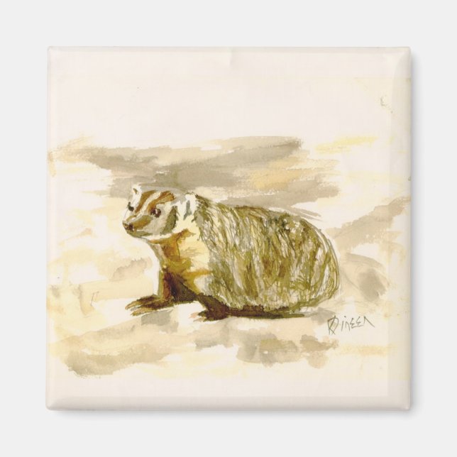 Imán Magnet Badger (Frente)