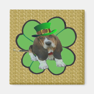 Imán Magnet Basset Hound Happy St. Patrick's Clover