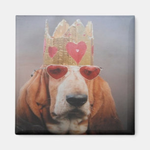 Imán Magnet Basset Hound King