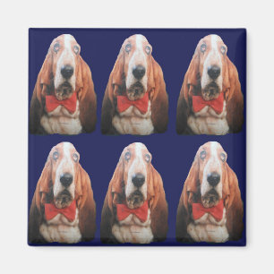 Imán Magnet Basset Hounds