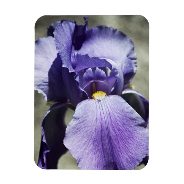 Imán Magnet Beauty Premium (Vertical)