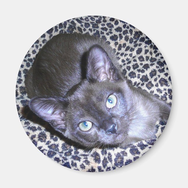 Imán Magnet birmano (Frente)