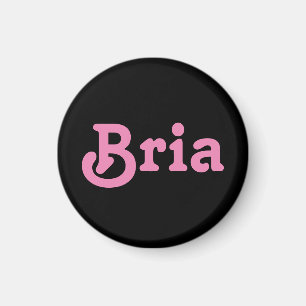 Imán Magnet Bria
