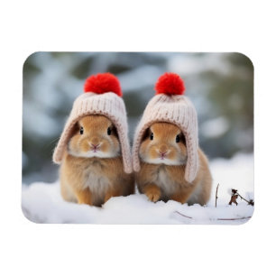 Imán Magnet Bunnies