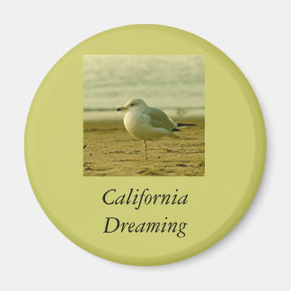 Imán Magnet - California Dreams