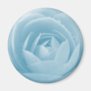 Imán Magnet Camellia Whirlpool