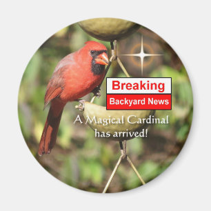 Imán Magnet cardinal mágico masculino