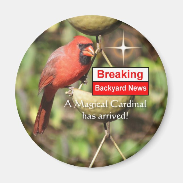 Imán Magnet cardinal mágico masculino (Frente)