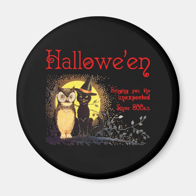 Imán Magnet Cat and Owl (Frente)