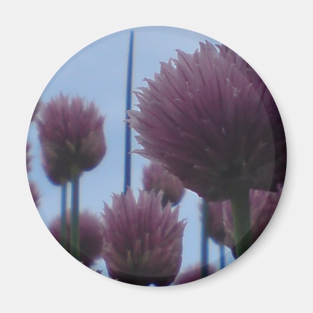 Imán Magnet - Chives Image 1 (Frente)