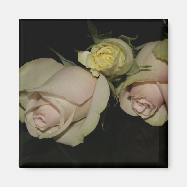 Imán Magnet con 3 rosas (Frente)