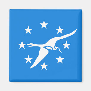 Imán Magnet con bandera de Corpus Christi, Texas, Estad