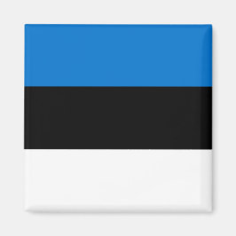 Imán Magnet con bandera de Estonia