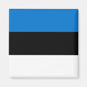 Imán Magnet con bandera de Estonia