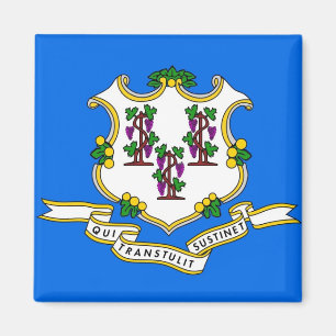 Imán Magnet con bandera del estado de Connecticut - Est