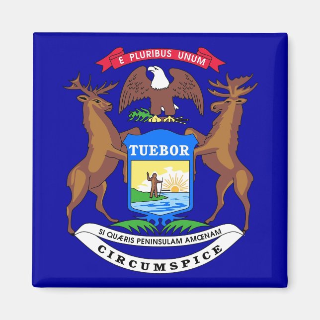 Imán Magnet con bandera del estado de Michigan - Estado (Frente)